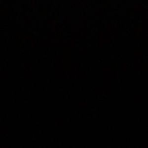 Meet your Posher, Lexi